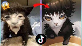 I TRY AI MANGA FILTER TIKTOK ON MY CATS Funny Results Compilation