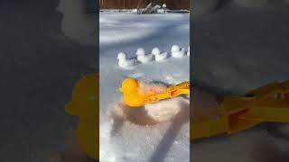 Snow Ducks 