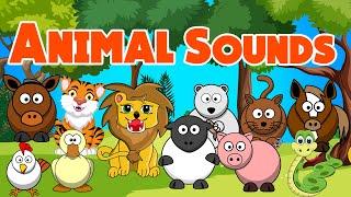 Animal sounds for Toddlers  Rhymes for Babies  LittleKidsTV