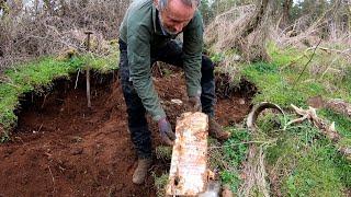 Berlins historical dumpsite-Nazi era Coca Cola bottles and more-