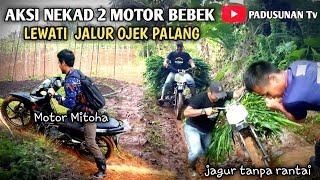 NEKAD INI YANG TERJADI 2 MOTOR BEBEK SUPRA LWEATI JALUR OJEK PALANG