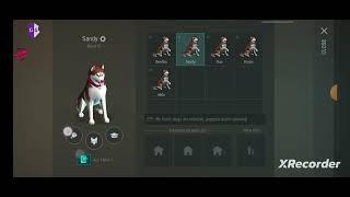 Last Day On Earth - Hack Dog Skills