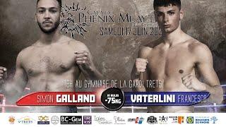 Simon GALLAND vs Francesco VATERLINI By #VXS #Phenix_Muay_thai #trets