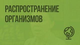 Распространение организмов. Видеоурок по географии 6 класс