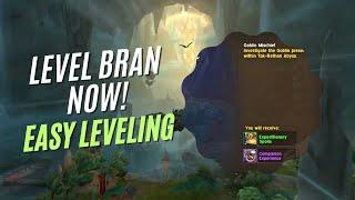 WOW The War Within - Level Up Brann Fast with This Daily Hack