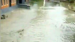 Video Situasi Bencana Banjir Besar Yang Melanda Kampung Terbaru