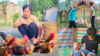 Single mother - sells chickens landowner comes to make life difficult raising children