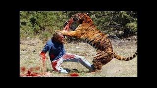 Most Extreme Deadly Animal Attacks on Humans Caught on camera Part -4 #LifeOfBigCat