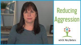 Handling Aggressive Behavior in Children with Autism