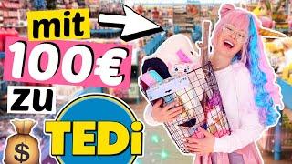 Was bekommt man für 100€ bei TEDI? Billig-Laden  ViktoriaSarina