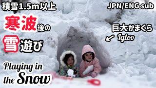 【雪国暮らし】ホワイトアウト後のお楽しみ【子供は風の子】After the whiteout Work and fun in the snow【Igloo】