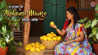 “Life of Alphonso Mango”  Maharashtra Traditional Life  Village Cooking  Red Soil Stories