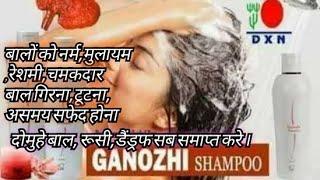 Best Product For Hair Growth Ganozhi Shampoo बाल झड़ना टूटना रूसी डैंड्रफ कैसे रोके उसके उपाय