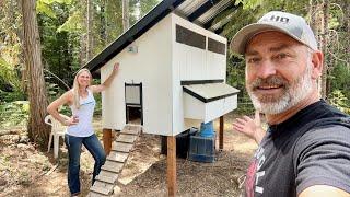 DIY Backyard Chicken Coop  How To Build  Easy to Clean