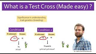 What is Test cross? Made easy with example