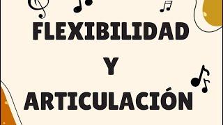 Flexibilidad y articulación