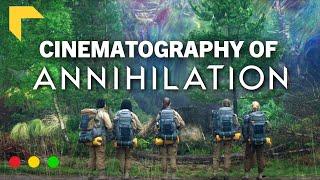 Using Stylistic Lighting To Tell Story  Annihilation Cinematography Breakdown