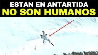 Una Historia DIFICIL De Creer ¿Qué Hay Realmente Detrás Del Muro De Hielo En La Antártida?