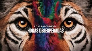 Horas Desesperadas  1 Temporada 9 - 13 episodios  Pelicula Documental