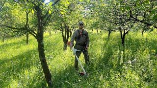 Cutting fresh grass with Stihl Fs 560-C with square black 33 mm trimer line.