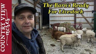 Moving our Livestock to the Corral Barn After a Few Final Touches.