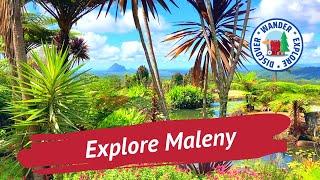  Explore Maleny  Sunshine Coast Hinterland  Things to do in and around Maleny in Queensland