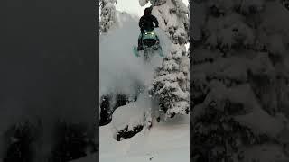 Ski-Doo Freeride Ultimate Capability