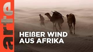 Scirocco der Wind der Wüste  Mächtige Winde  Doku HD  ARTE