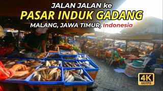 Pasar Induk Gadang Walking tour Pasar Tradisional di Kota Malang Jawa Timur Indonesia 