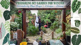 How I Over-Winter My UK Tropical Style Garden - Zone 9A ️