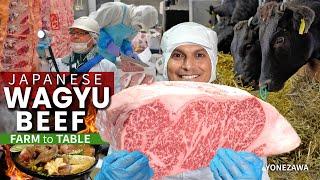 How Japanese Wagyu Beef is Graded  Farm to Table  ONLY in JAPAN