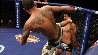 Best MMA BRUTAL High Kick Knockouts