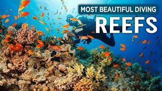 Most Beautiful Diving Places Around The World  Travel Guide 2023