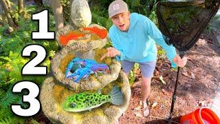 Catching *NEW* Exotic Fish for my DIY FOUNTAIN POND 3 LEVELS