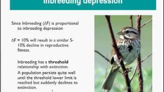 BIOL3468 Conservation Genetics 6  Inbreeding Problems