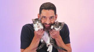 Tom Ellis The Kitten Interview