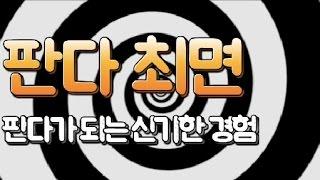 판다가 되는 최면  LBC방송국