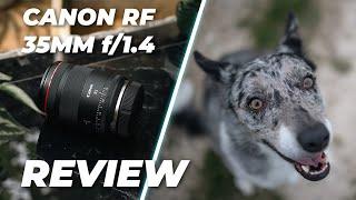 Canon RF 35mm f1.4L VCM Lens Review  The Ultimate Hybrid Lens?