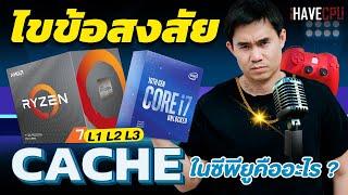 ไขข้อสงสัย Cache ในซีพียูคืออะไร และหน้าที่ของ L1 L2 L3   iHAVECPU