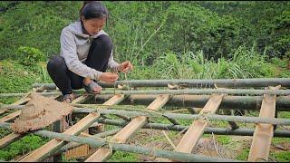 Daily life of a 17-year-old single mother Building a Bamboo Kitchen  Ly Tieu Nu