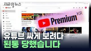 유튜브 프리미엄 싸게 보려다... 지금이뉴스  YTN