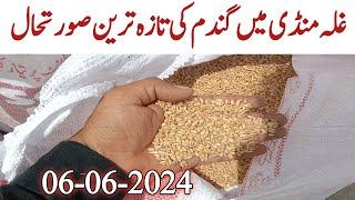 Galla Mandi Me Gandam Ka Rate  Today Wheat corn price in Punjab