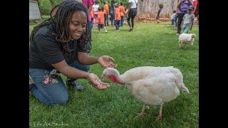 The Power of Community Based Vegan Activism with Brenda Sanders