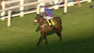 2017 Betfair Ascot Chase - Cue Card - Racing TV