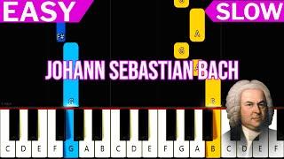 Johann Sebastian Bach - Brandenburg Concerto Opening - EASY Piano Tutorial for Beginners