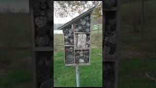 Bee Hotel