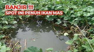 BANJIR BIKIN SUNGAI INI PENUH IKAN MAS  MANCING DI SPOT INI STRIKE IKAN MAS SAMPAI SEGINI BANYAK