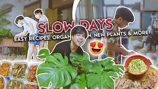 VLOG — Slow Days At Home Easy Recipes Pantry Organization & New Plant Babies 🪴 • Red Diaz