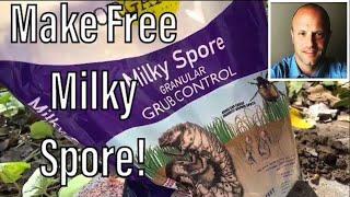 How to Make Your Own Free Milky Spore Japanese Beetle Killing Spores Multiply Your Supply