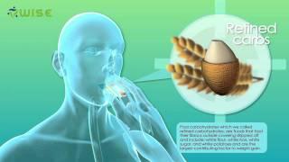 3D medical animation - Why people get fat - Warum Menschen Gewicht zunehmen - designidentity